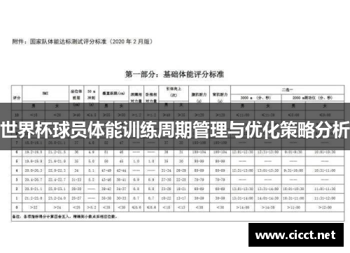 世界杯球员体能训练周期管理与优化策略分析